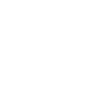 Graph With Magnifying Glass Icon