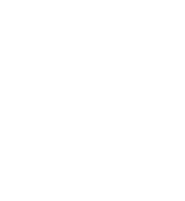 IT Consulting Icon