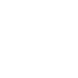 Mobile Development Icon