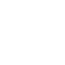 SEO Solutions Icon