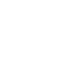 Web Development Icon
