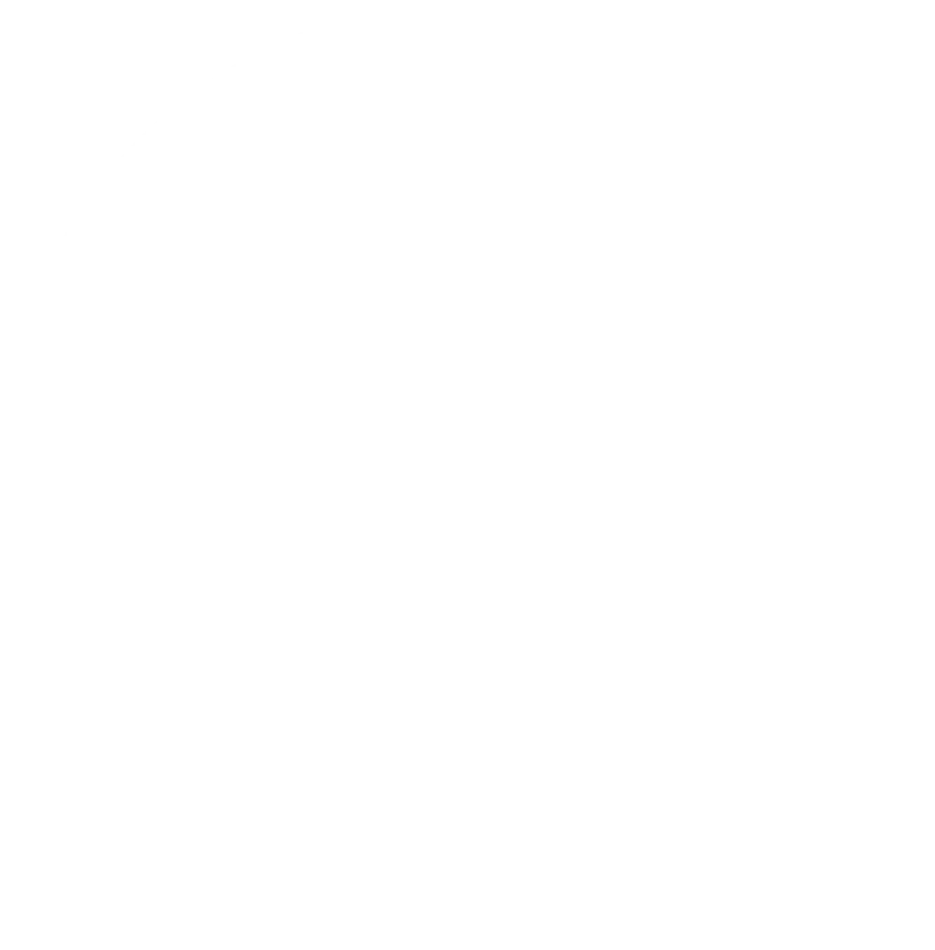 Google Icon