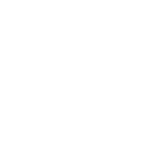 Whatsapp Icon
